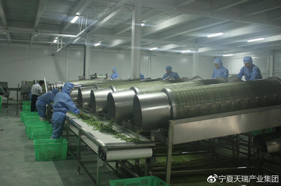 宁夏虹桥有机食品速冻蔬菜首次出口日本 开启高品质农产品国际销售新篇章