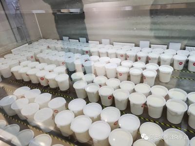 阿巴嘎旗党政考察团赴正蓝旗考察食品销售经验