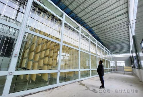 “柳仔天团”出击！啤酒美食节斩获1金3铜，销量逆天炸场