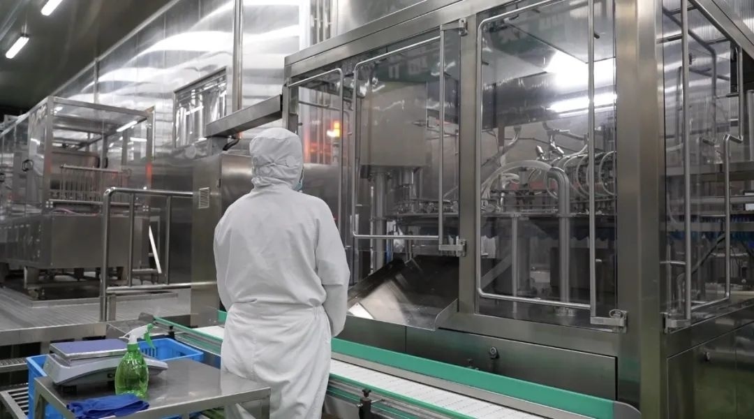 金山打响“湾区食谷”品牌 安全背后还有可溯源的秘密